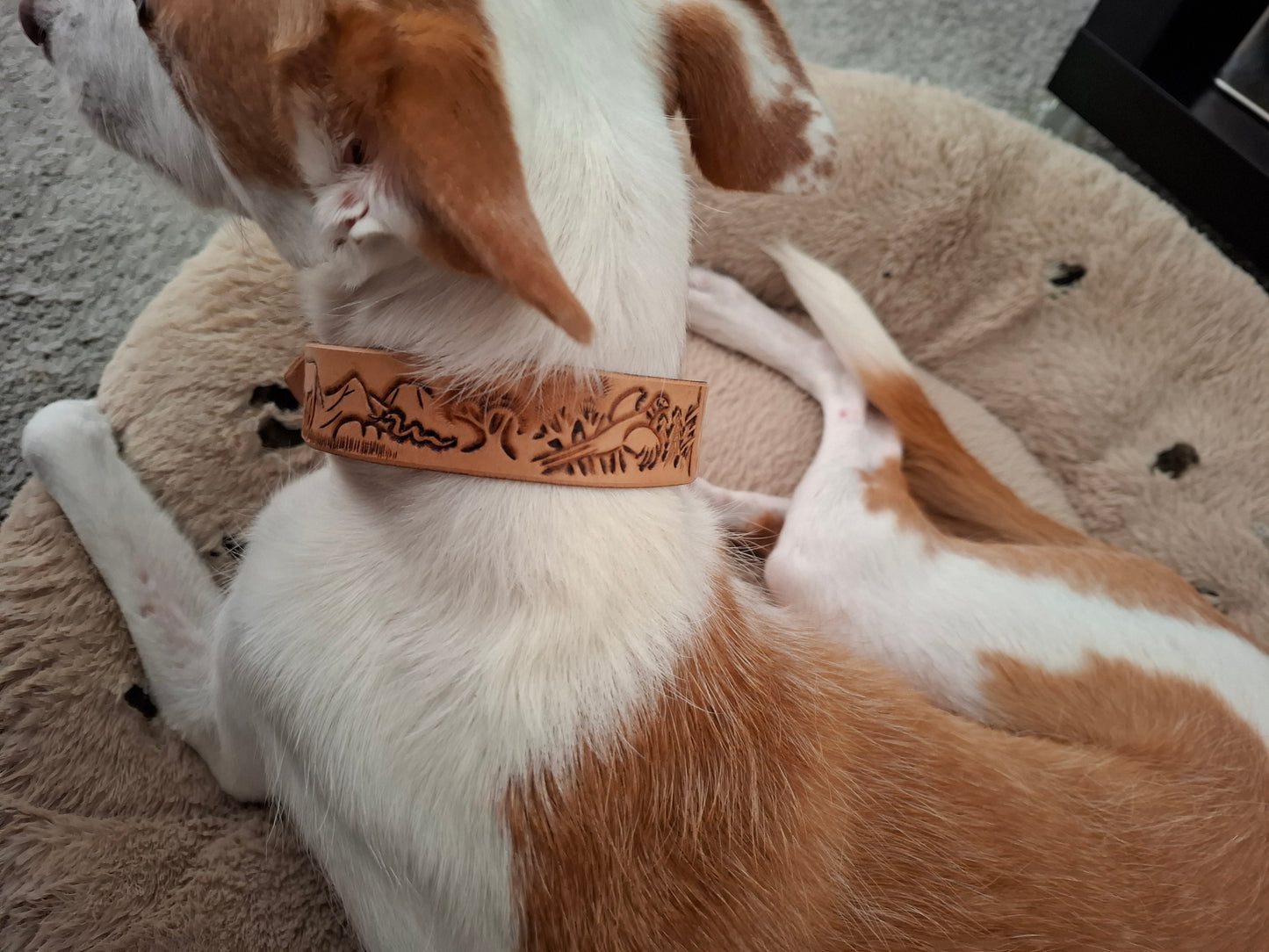 🐾 Coleira Personalizada Premium em Couro Genuíno – Artesanal, Elegante e Única