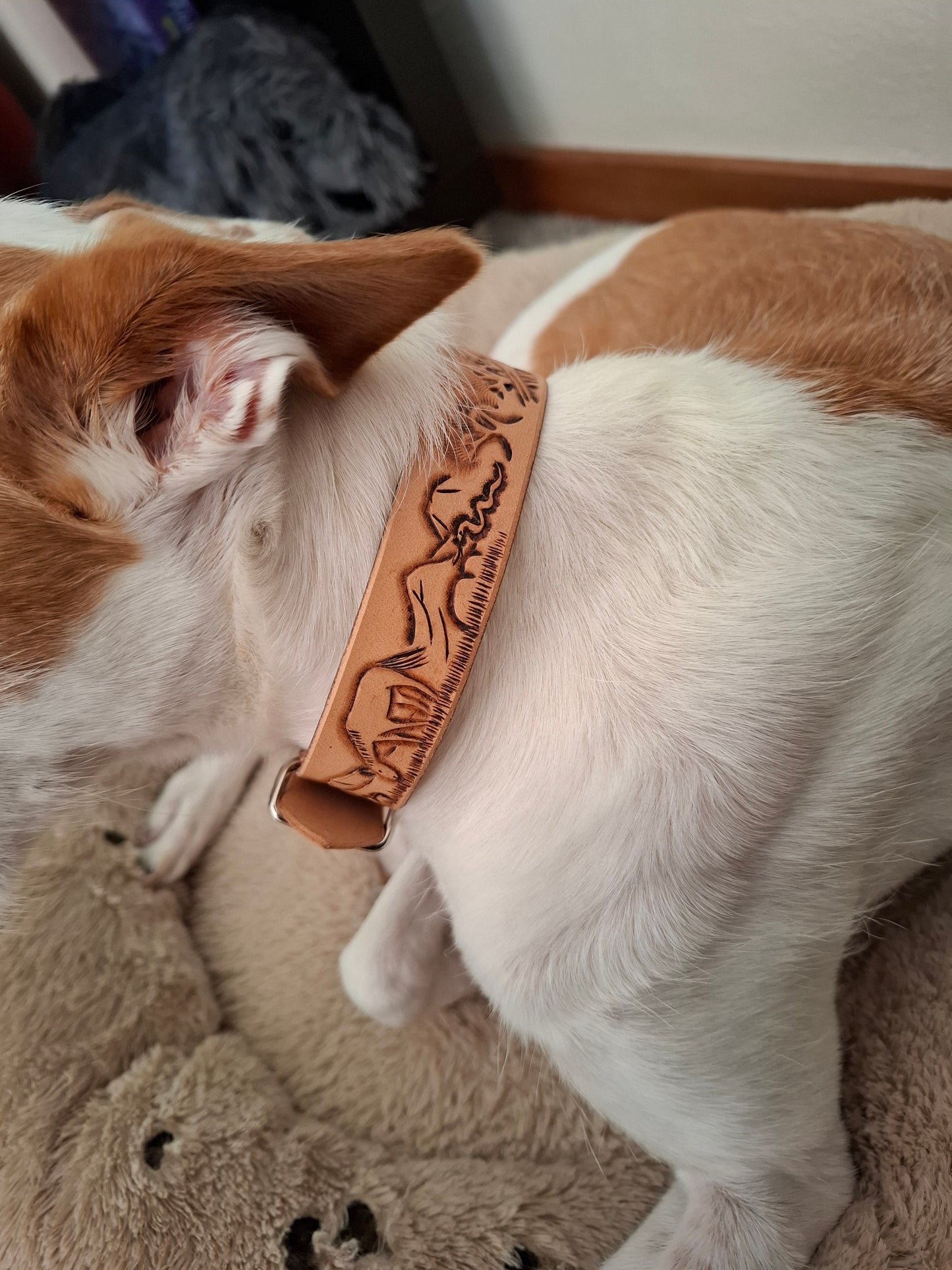 🐾 Coleira Personalizada Premium em Couro Genuíno – Artesanal, Elegante e Única